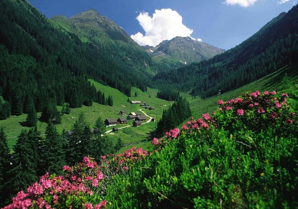 Sunrise Apartment Schladming Dış mekan fotoğraf